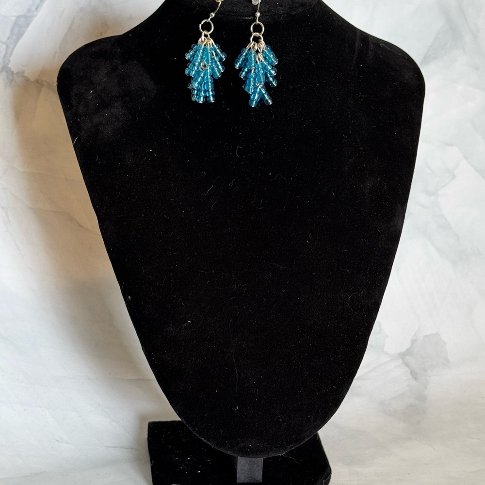 Blue Earrings